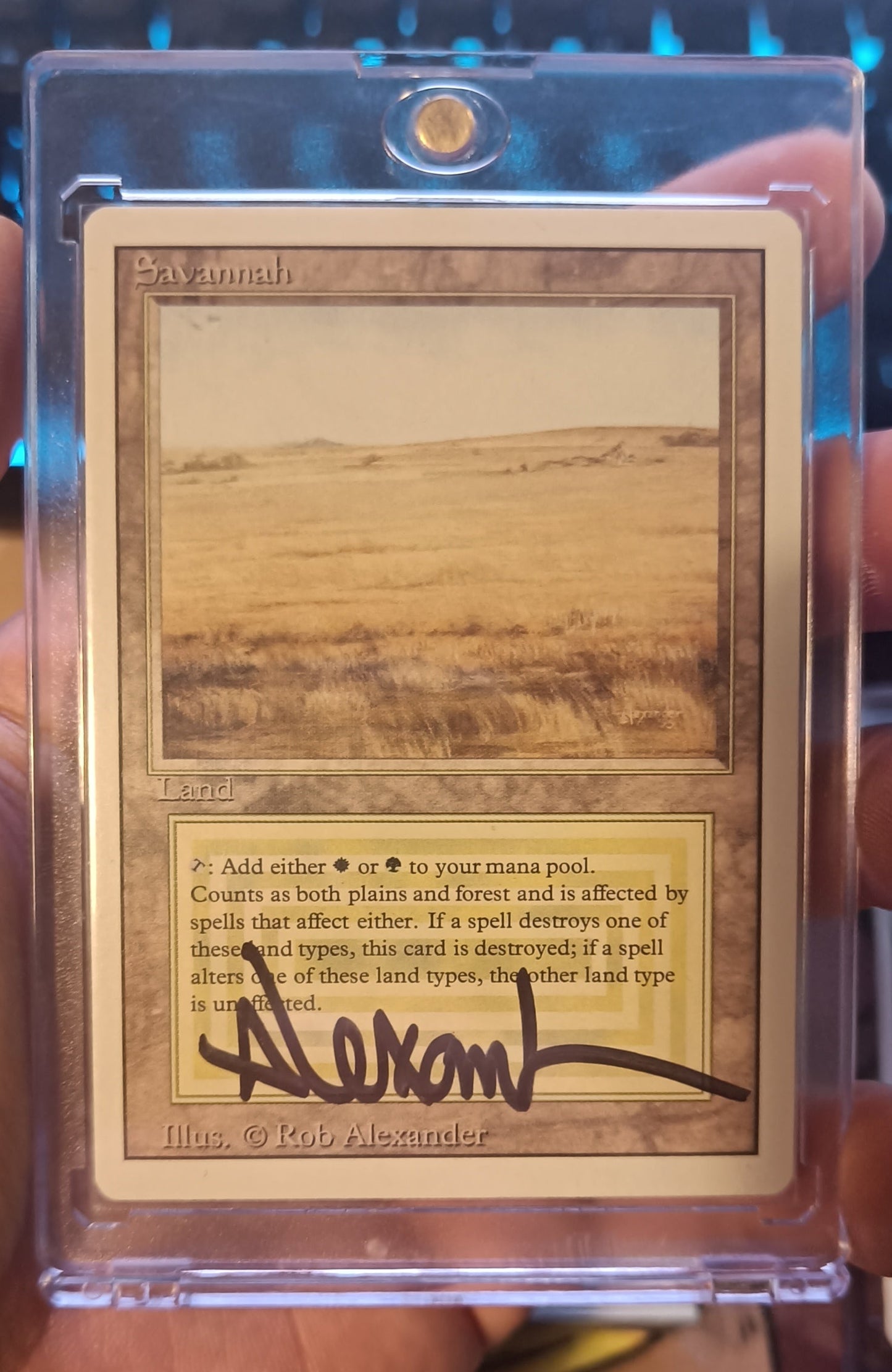 MTG - Savannah - Revised (EN/SIGNED)
