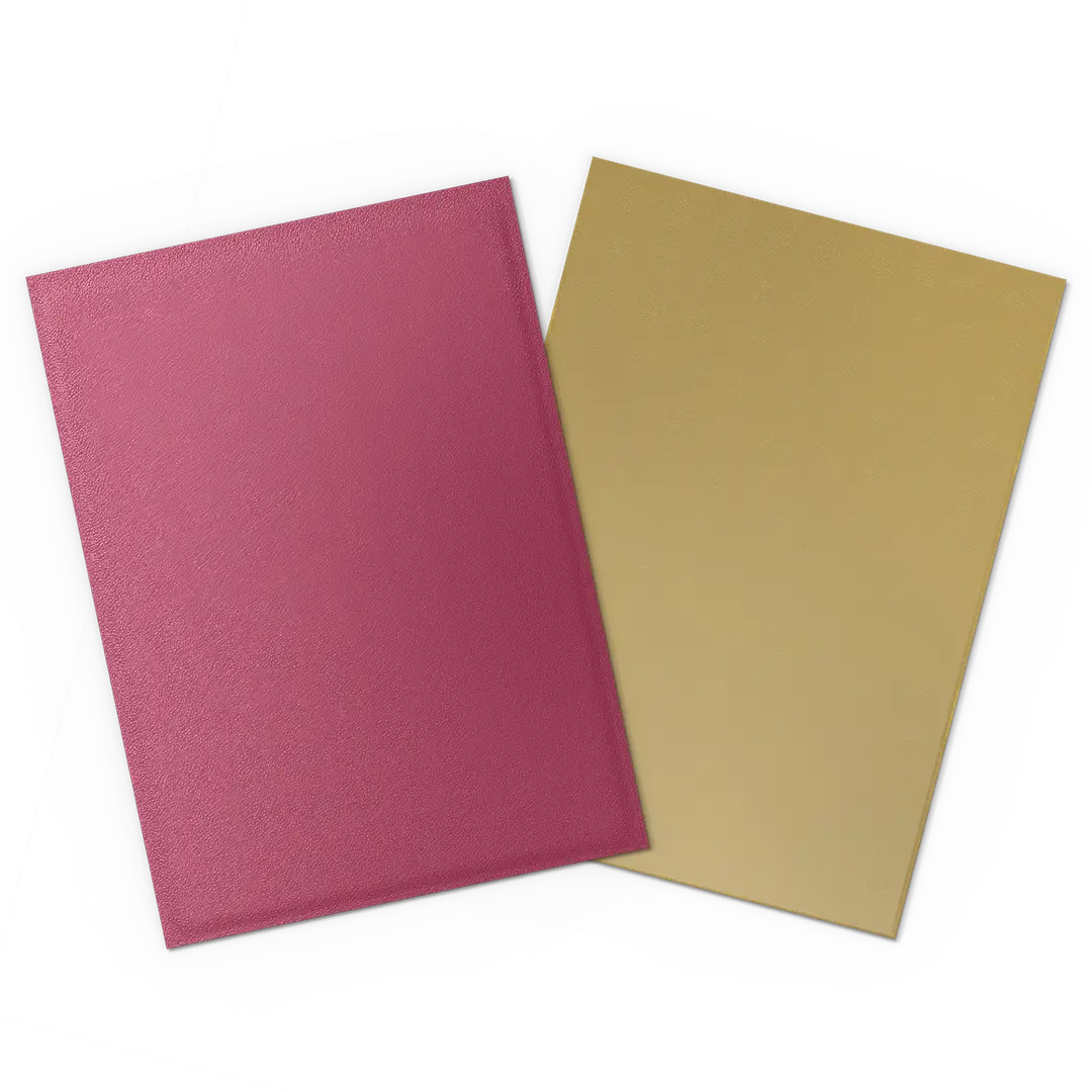 Dragon Shield - Dual Matte Sleeves (100)